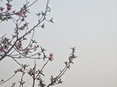 -南宁南湖公园