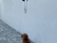 -滇釜火锅·能喝汤的火锅(车公庄店)