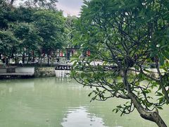 -荔湾湖公园