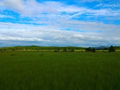 景点-塞罕坝国家级自然保护区