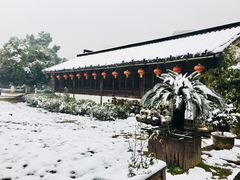 门面-阮氏酒家(柯桥店)