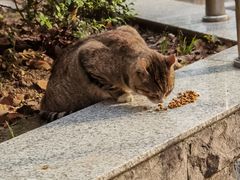 -苏州河梦清园环保主题公园