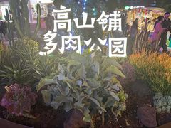 -南屏步行街
