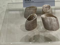 -上海中国航海博物馆