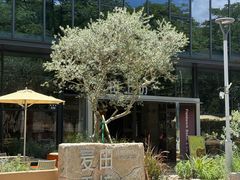 -麦田工坊(月湖店)