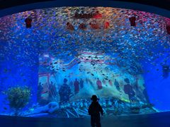 -合肥海洋世界
