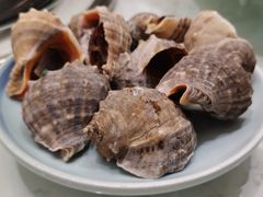 -蓝珊瑚蒸汽海鲜餐厅(龙奥店)