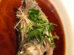 清蒸鲑鱼-百富源·海鲜辽菜(和平北大街店)