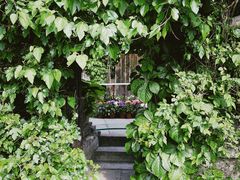 -斯多格书乡(北京大学畅春园店)