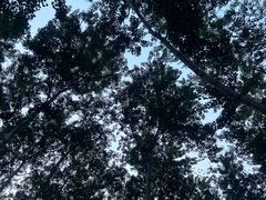 -仁和公园(顺义区)