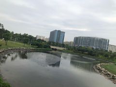 -宝安西湾红树林湿地公园