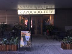 -油梨树 AVOCADO TREE(亮马桥店)