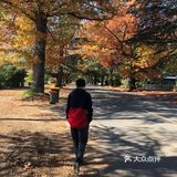 澳洲Bright 小镇的秋日