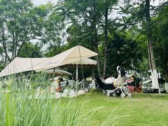 -夏河溪乡野公园