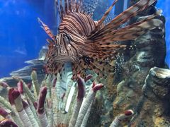 -福州罗源湾海洋世界旅游区