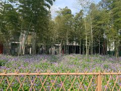 -浙江大学(玉泉校区)