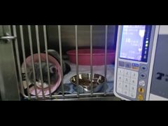 -暖阳宠物医院·犬猫康复中心·骨科