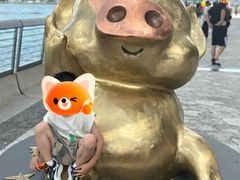 -星光大道