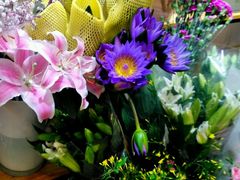 -双季花艺园艺市场(浦东店)