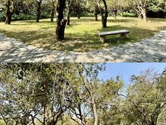 -开平碉楼文化旅游区马降龙景区