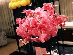 -上海苏宁宝丽嘉酒店·Cafe Bellagio西餐厅