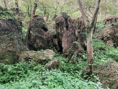 -南京老山国家森林公园