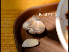 -老陈婆手工面庄