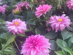 -苏州河梦清园环保主题公园