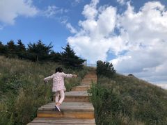 -白草畔自然风景区