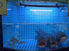 -千岛湖小鱼儿·淳安匠心农家菜