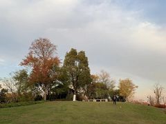 -金银湖国家城市湿地公园