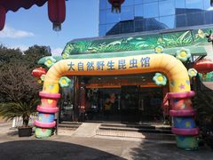 -上海大自然野生昆虫馆(东方明珠·爬宠昆虫探索中心)