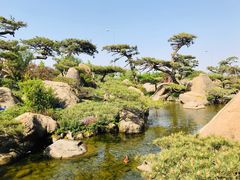 -罗红摄影艺术馆