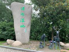 -溱湖国家湿地公园