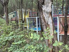 -西部长青自然儿童乐园