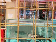 -辣得叫湘菜(四明店)