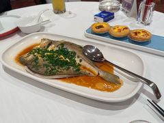 -醉辉皇原味海鲜江南菜(成都大魔方店)