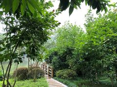 -龙头寺公园