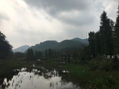 -广州市石门国家森林公园