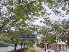 -三亚红色娘子军演艺公园景区