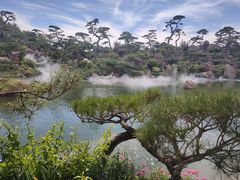 -罗红摄影艺术馆