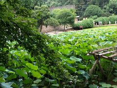 -韶山毛泽东同志故居