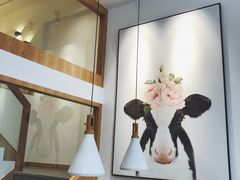 -ICEPOPO MILK(玉兰店)