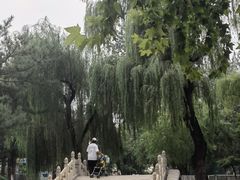 -保定市动物园