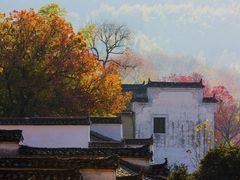 -塔川景区