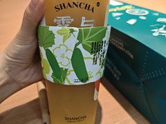 -雾与山茶(大禹城店)