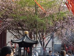 -西安青龙寺遗址景区