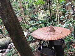 -七仙岭温泉国家森林公园