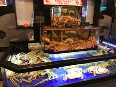 -蟹道乐(道顿堀本店)