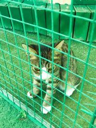 -萌宠亲子动物乐园(槐房万达店)